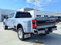 2025 Ford Super Duty F-450 DRW Platinum