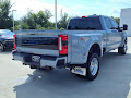 2025 Ford Super Duty F-450 DRW Platinum